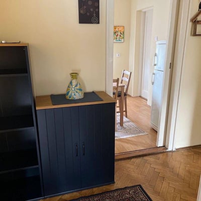 Rental of a comfortable 2-room apartment, 55 m², city center, Belgrade, Serbia